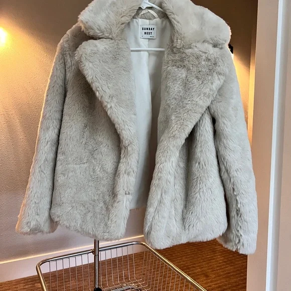 Aritzia - Sunday Best Fur Coat - Picture 5 of 6